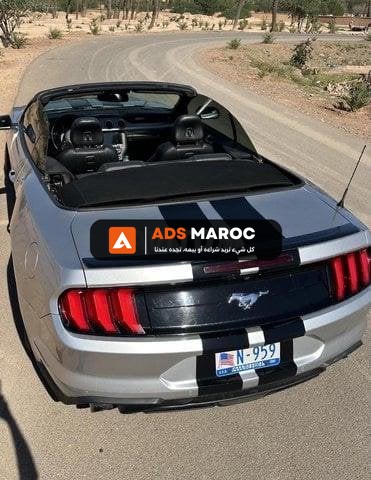 Mustang 2019 convertible 2.3 ecoboost