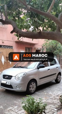 kia picanto