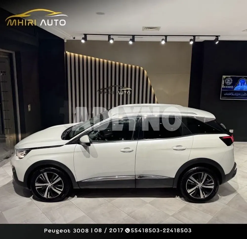 ?Peugeot 3008 ?