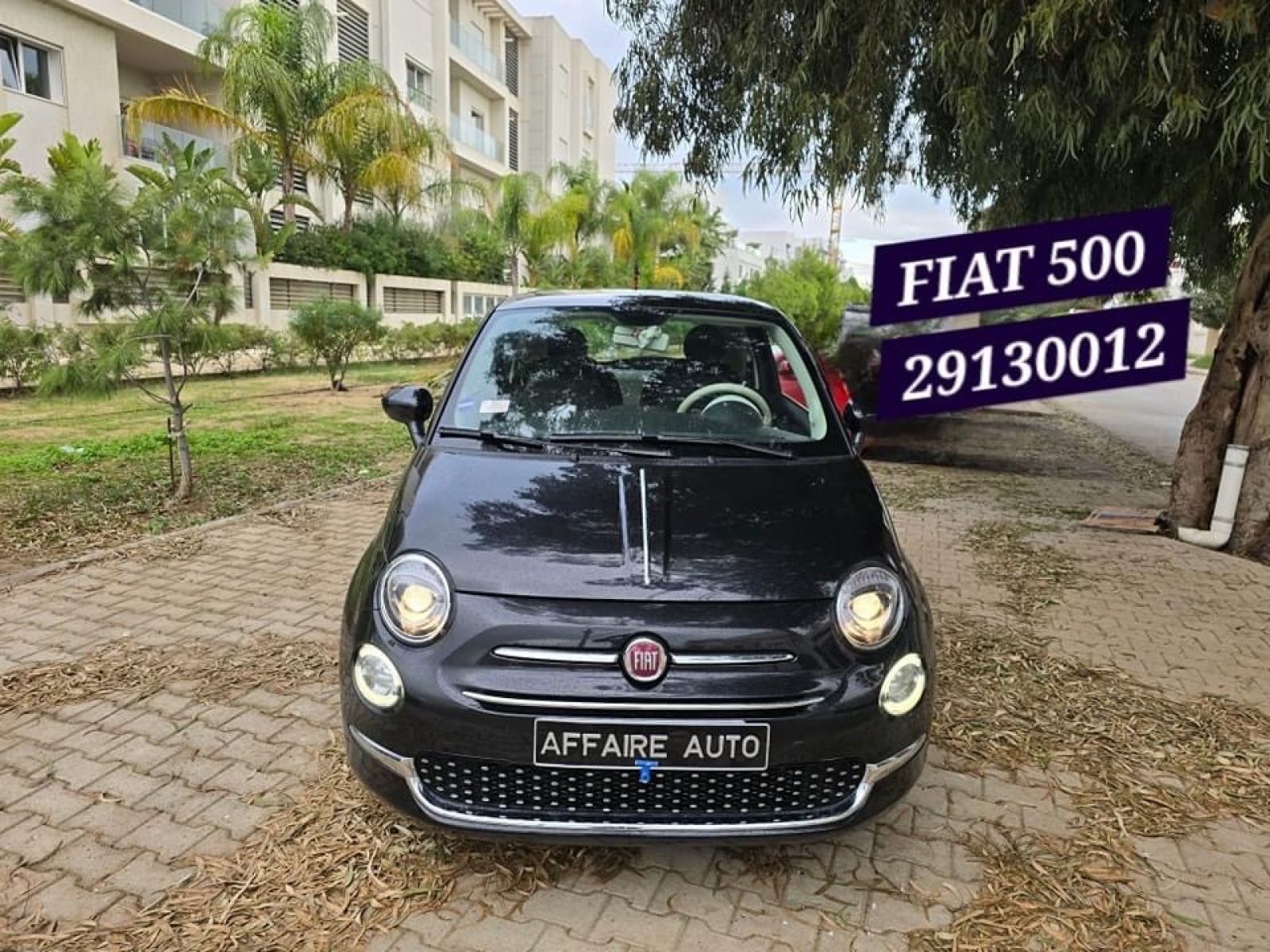 Fiat 500 