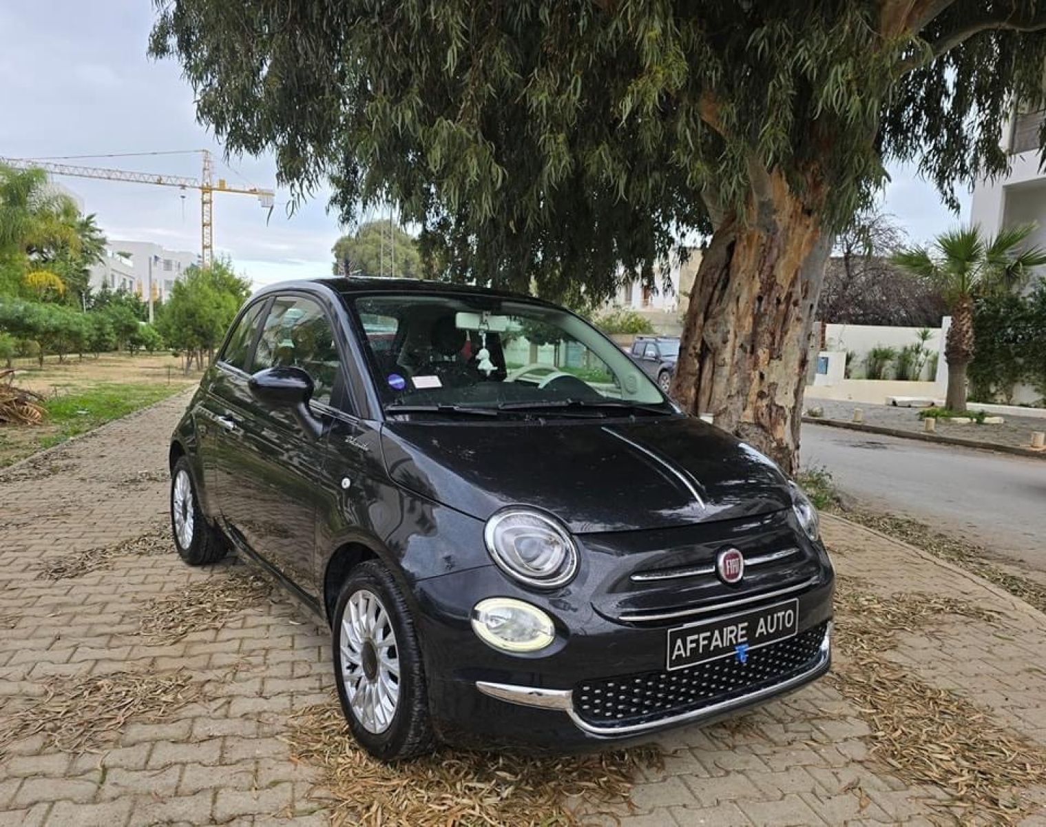 Fiat 500 