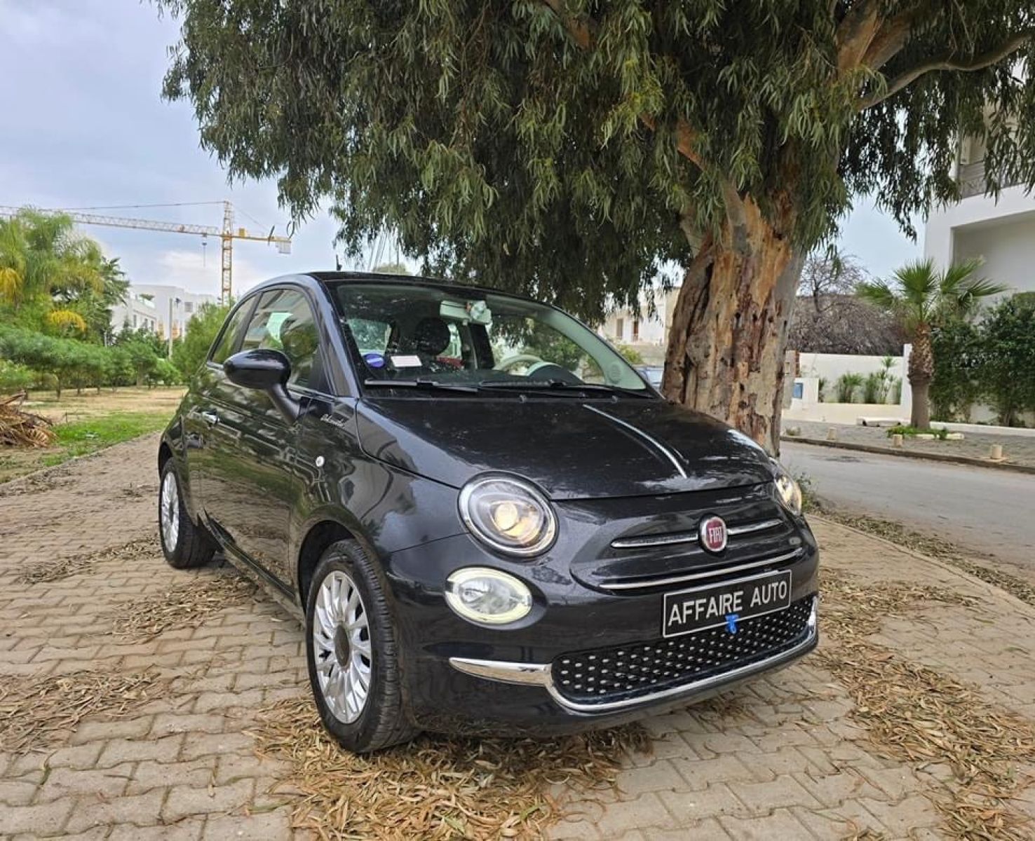 Fiat 500 