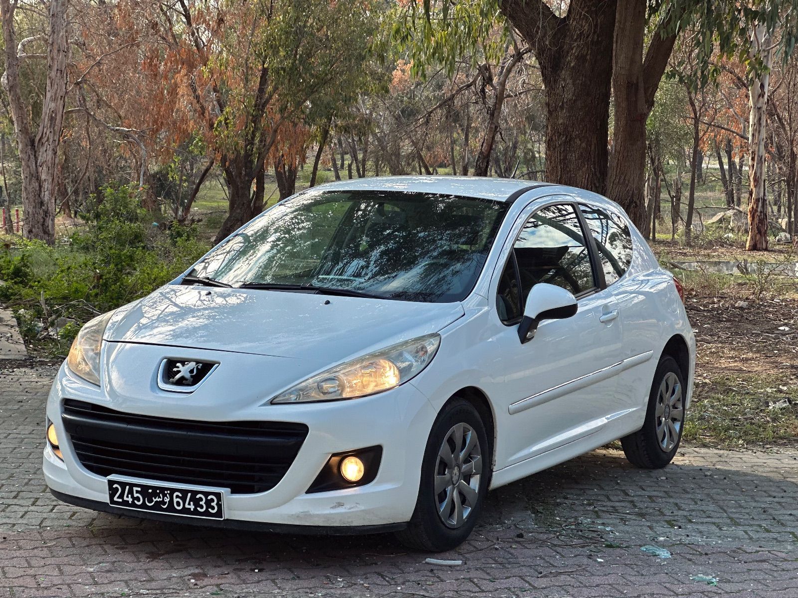 Peugeot 207 