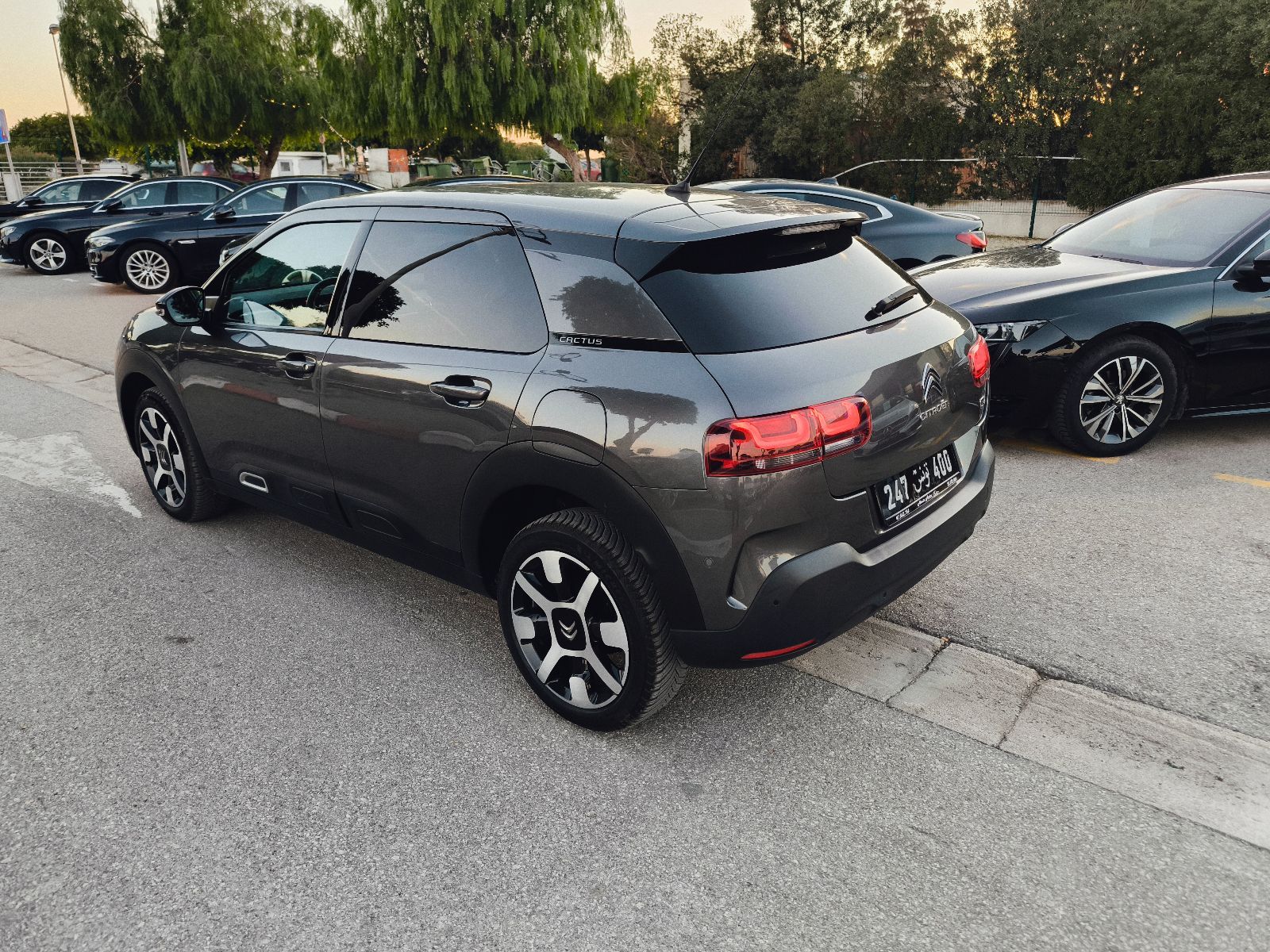 Citroën C4 Cactus 