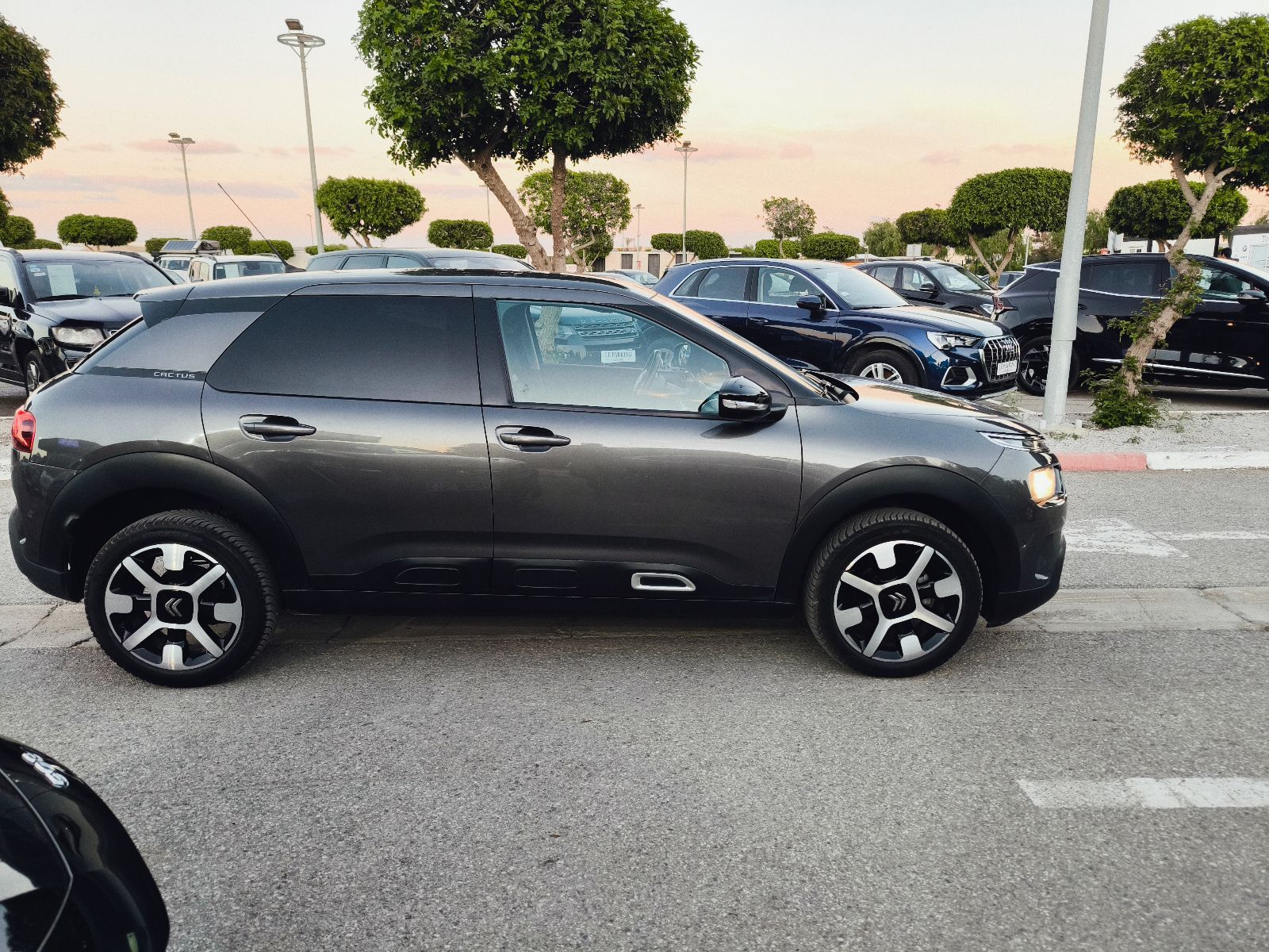 Citroën C4 Cactus 