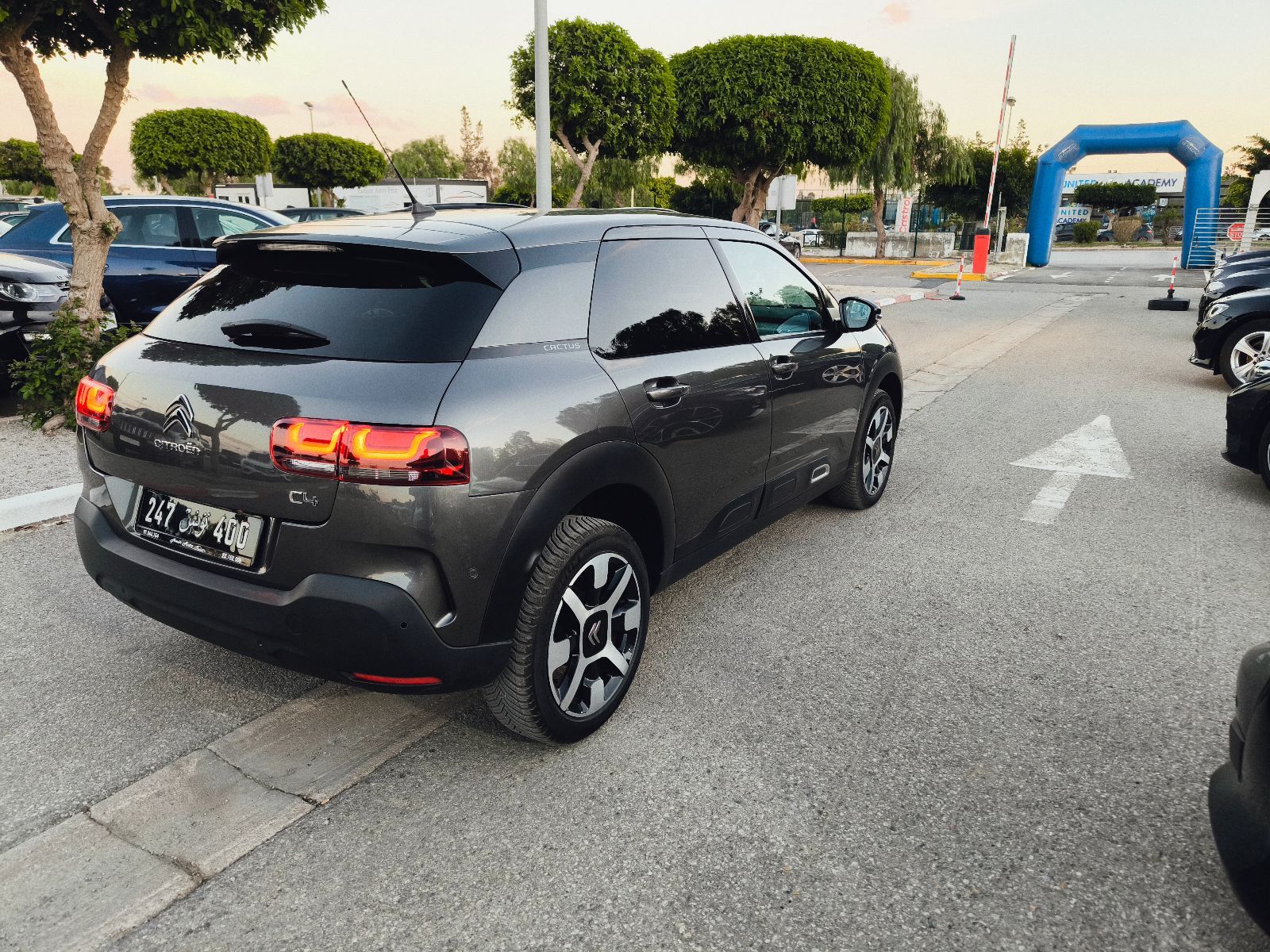 Citroën C4 Cactus 