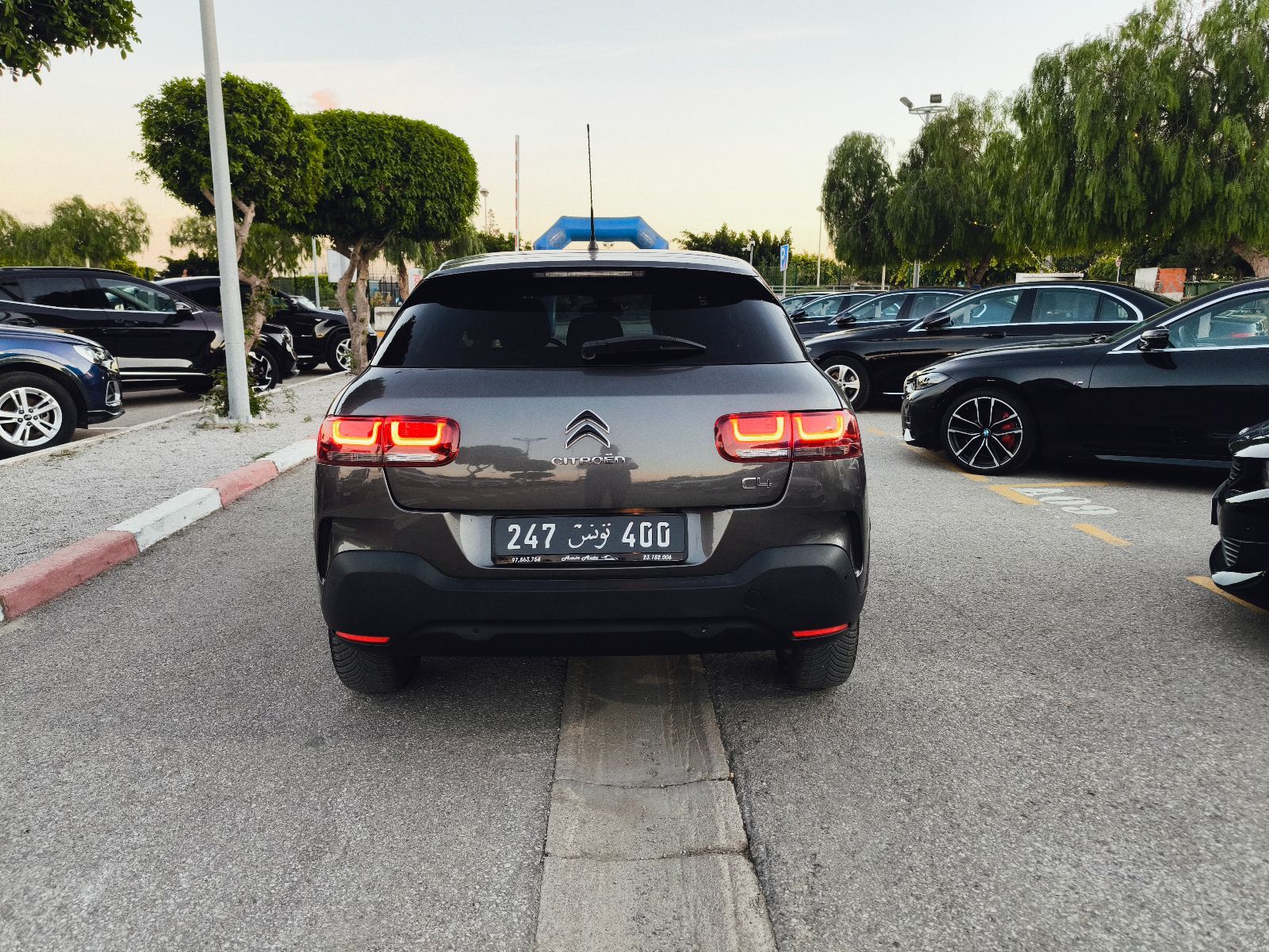 Citroën C4 Cactus 