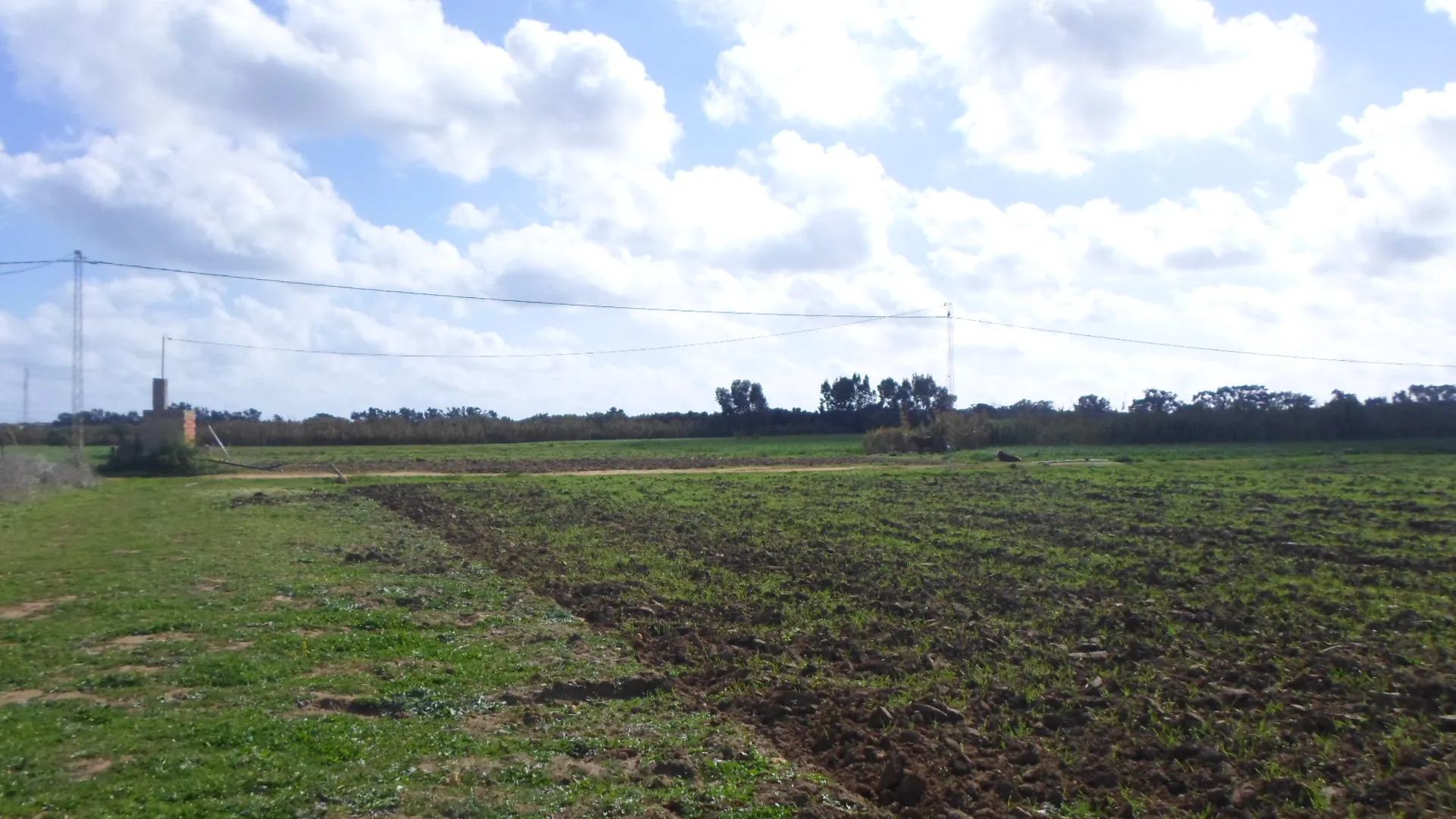  terrain agricole a kerkouane 