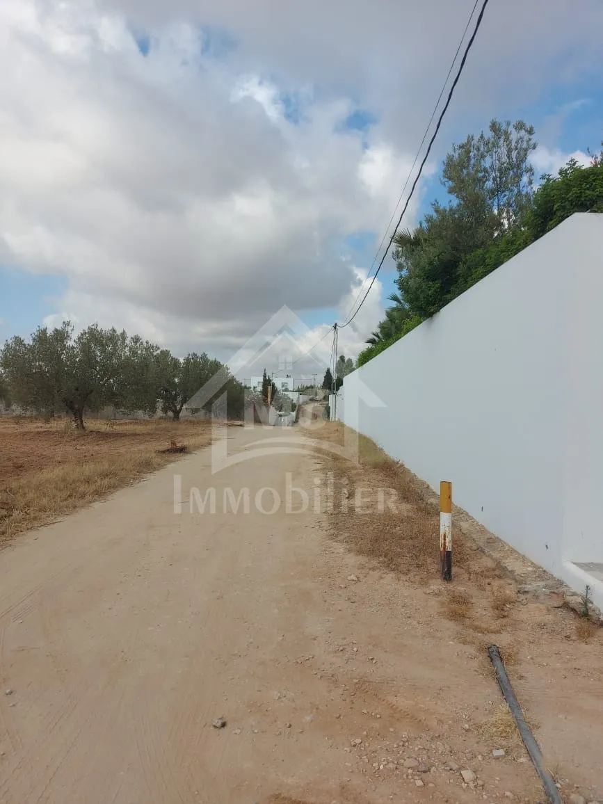  Terrain de 1000 m² à vendre à 85 MD à Hammamet Sud 51355351 