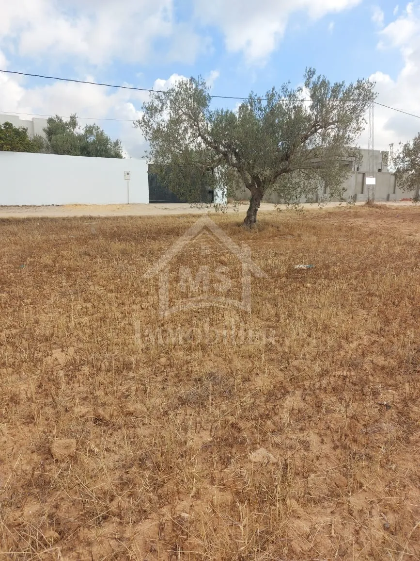  Terrain clôturé de 1253 m² à vendre à Hammamet Sud 51355351 