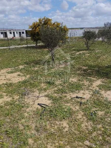  Un lot de terrain de 500 m² à vendre à 60 MD à Hammamet Sud 51355351 