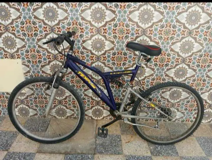  Bicyclette VICINI importer à ITALIE???????? 