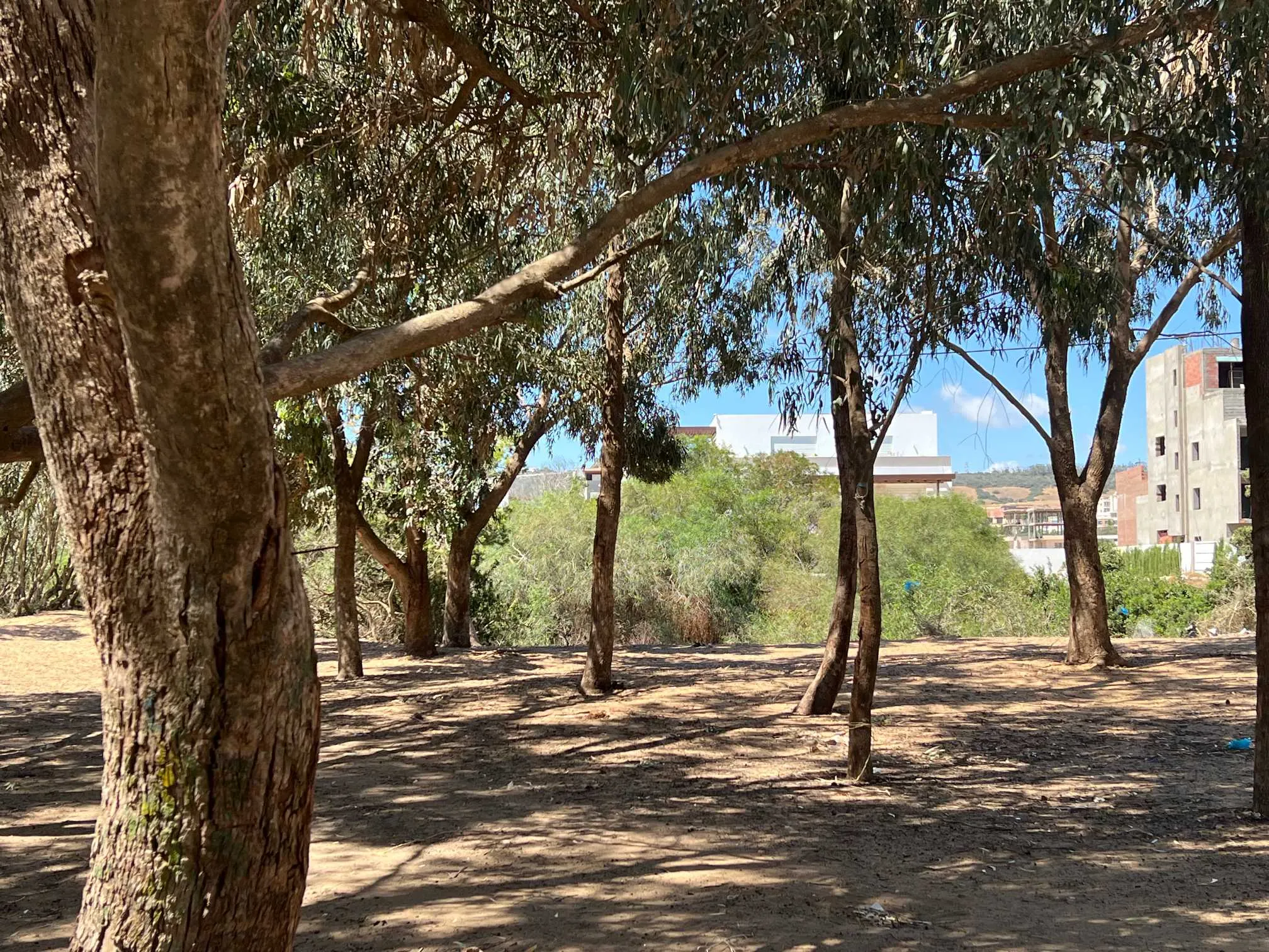 la marsa bhar lazreg pas loin de soukra sidi Fraj. A vendre villa trés haut standing sur un seul niveau