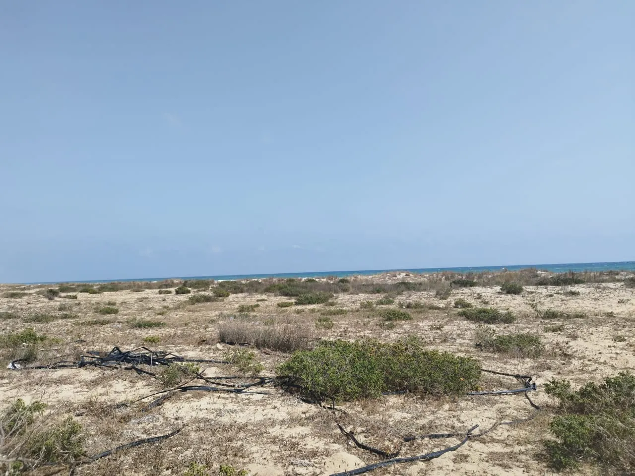  terrain pieds dans l'eau 