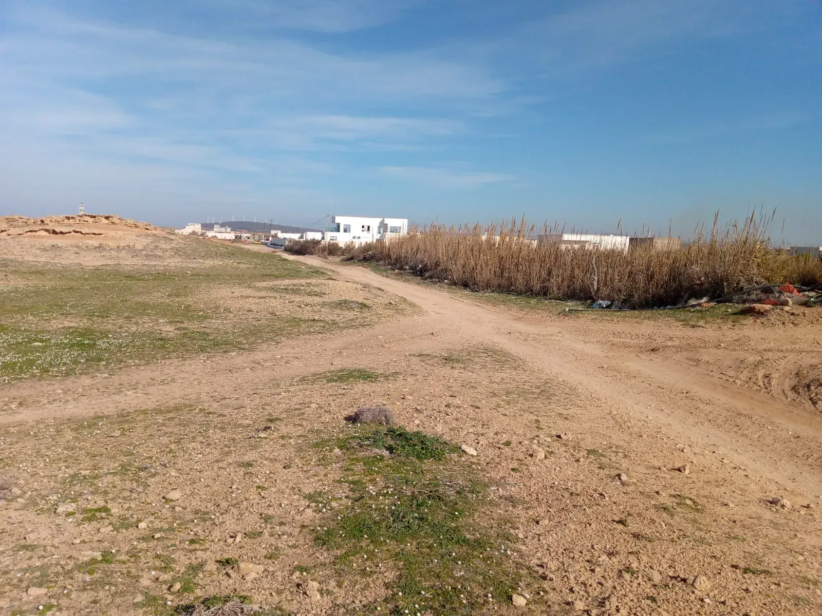  À vendre un terrain sur mer fi sidi daoud haouaria 1ère position a la plage 