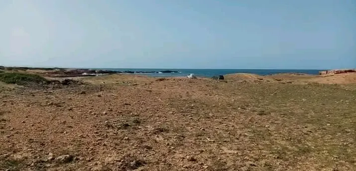  À vendre un terrain sur mer fi sidi daoud haouaria 1ère position a la plage 