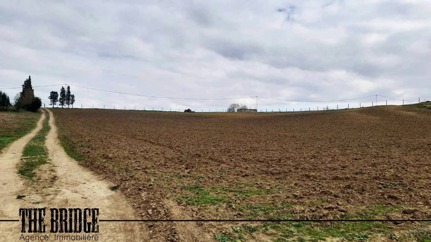  11 500 m² nu à Bouargoub 