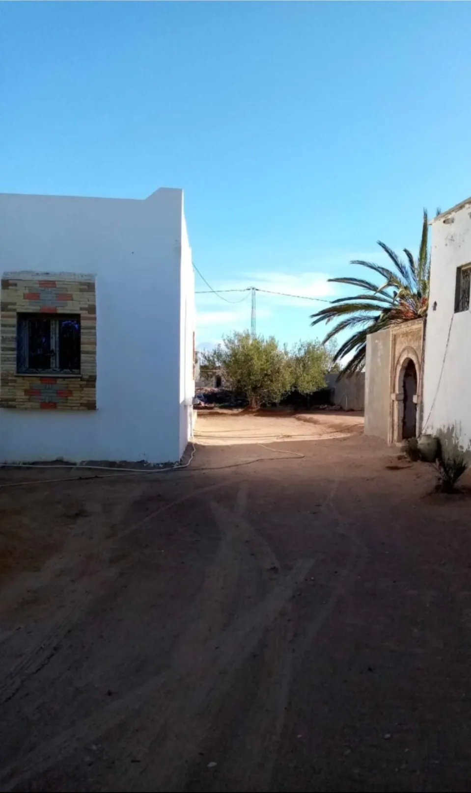  Villa et houch arbi sur terrain 5000 mètre à Djerba 