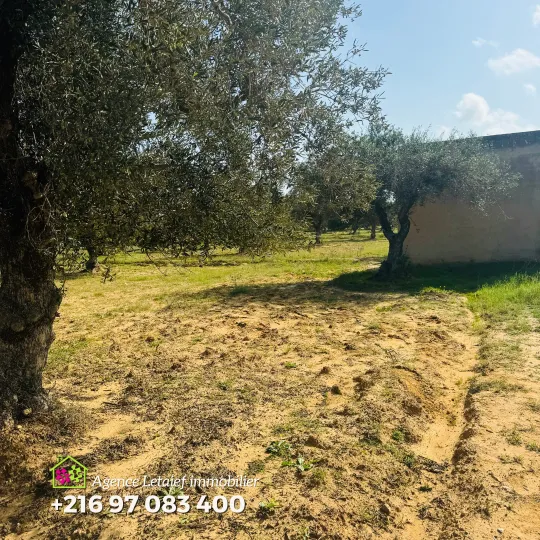  Terrain de 4000m2 70 DTle m² a foukaia chott meriem 