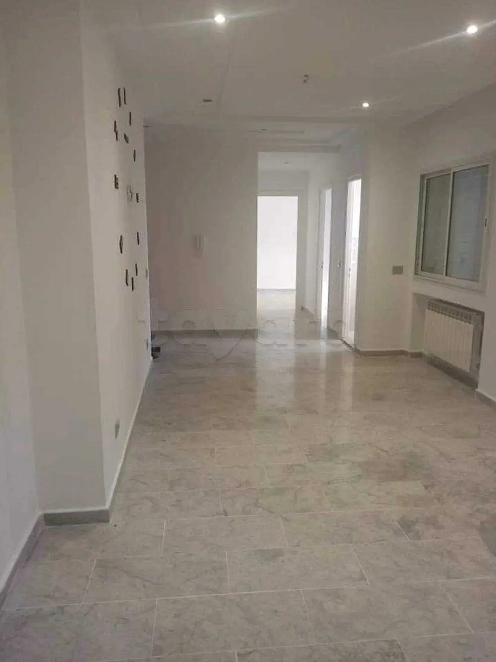  Coquette appartement s1 vide 