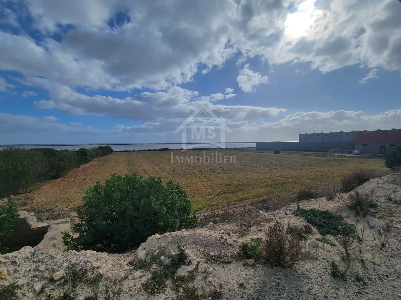  Terrain pieds dans l'eau de 3333 m² à korba à vendre 51355351 