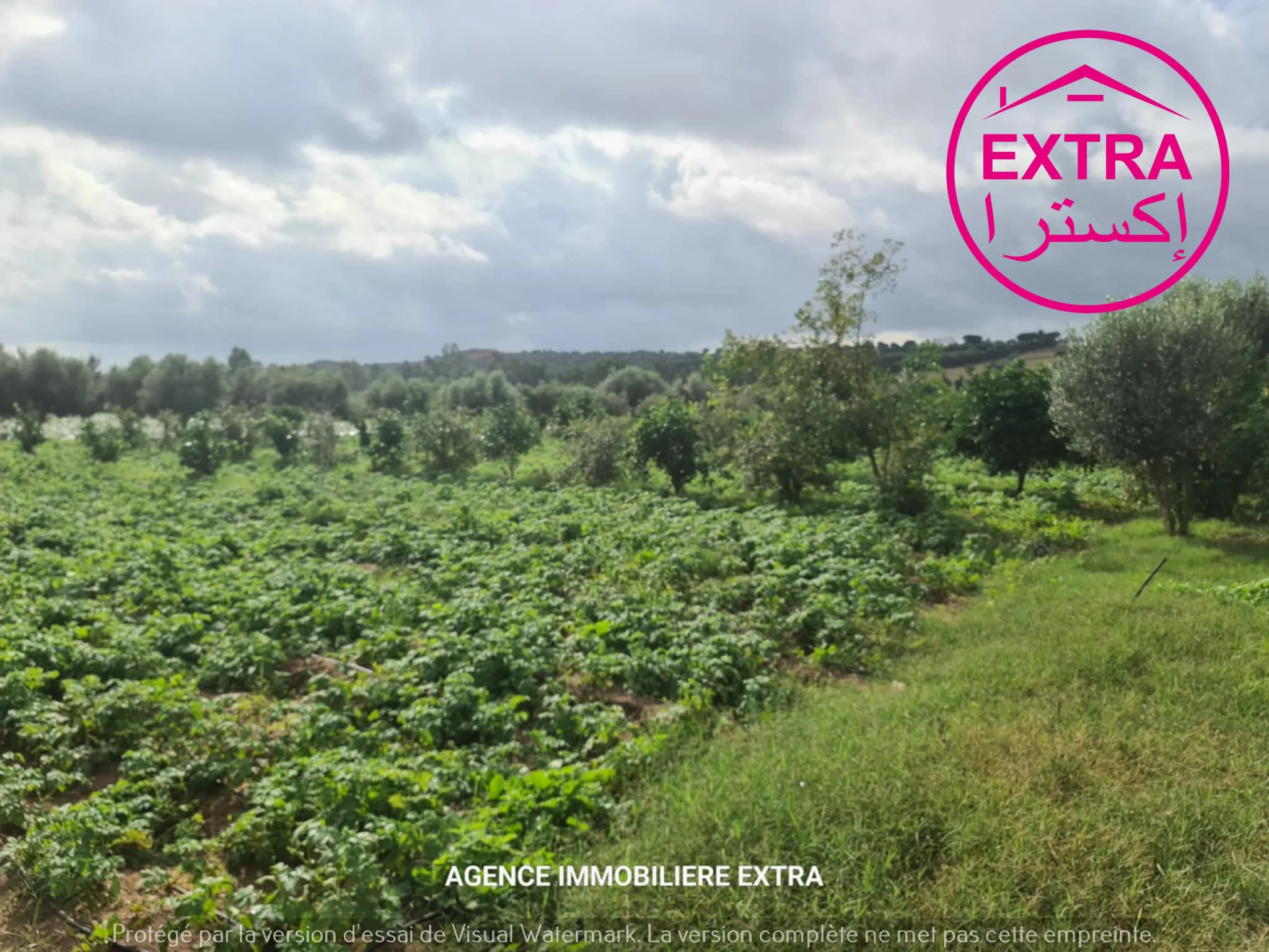  Campagne à Somaa A côté de la route 