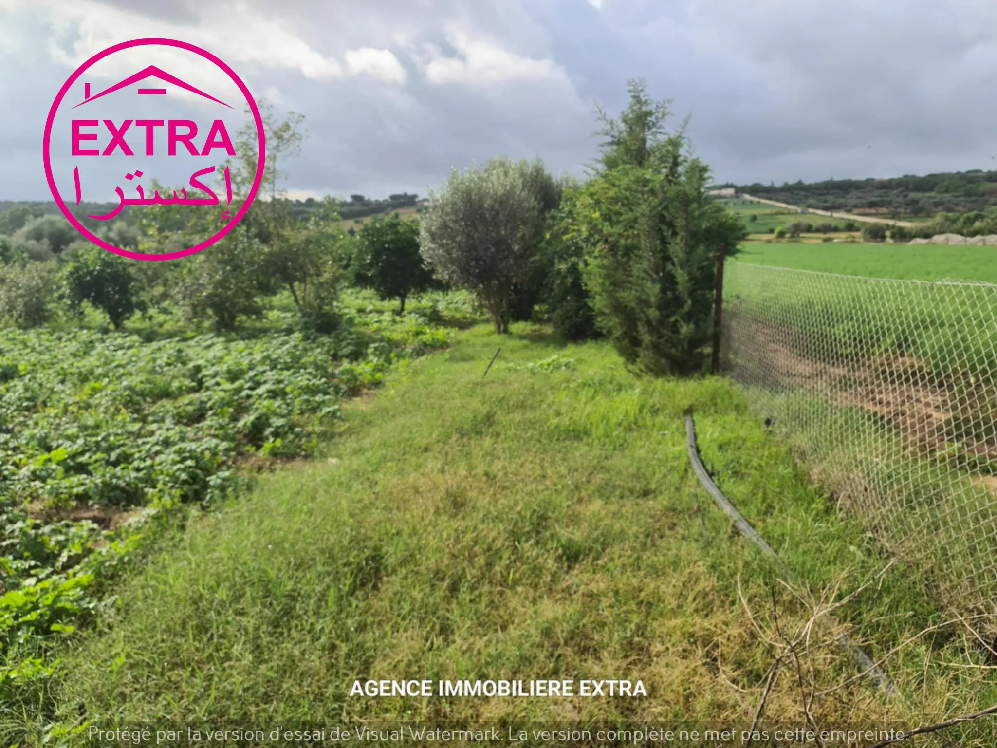  Campagne à Somaa A côté de la route 