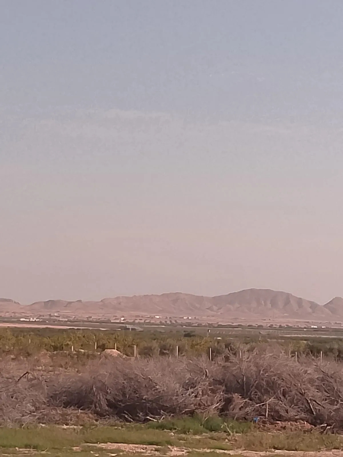  terrain agricole a sidi bouzid 