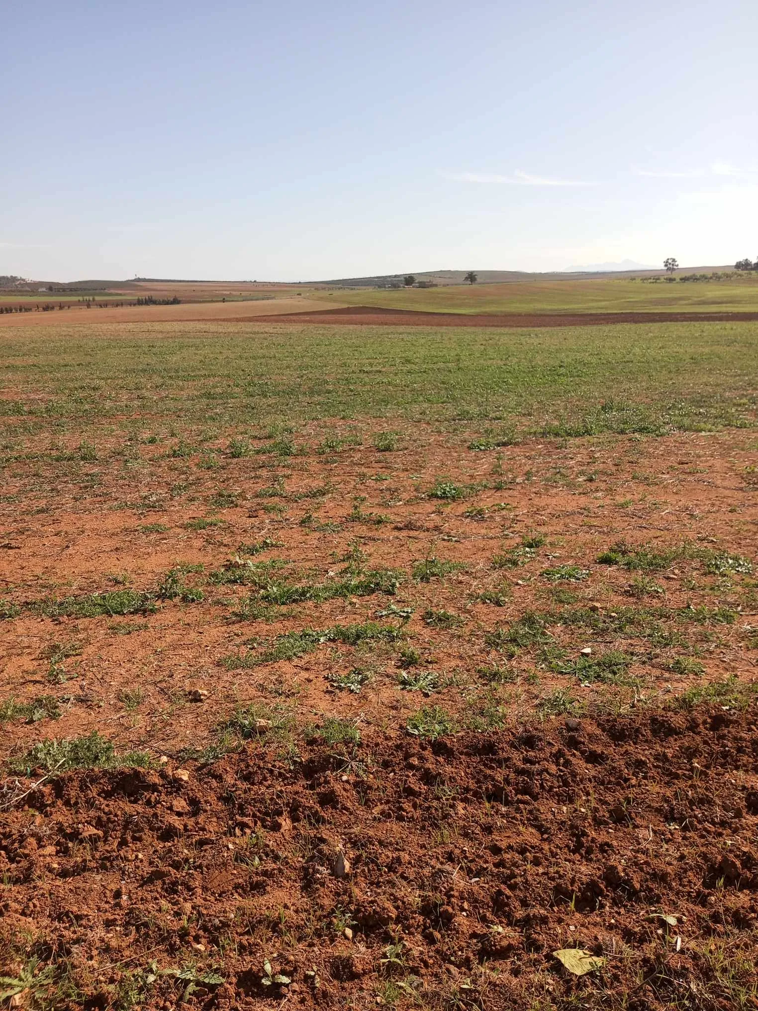  un terrain d'agricole nu a vendre situé a Jdaida Mahfoura 