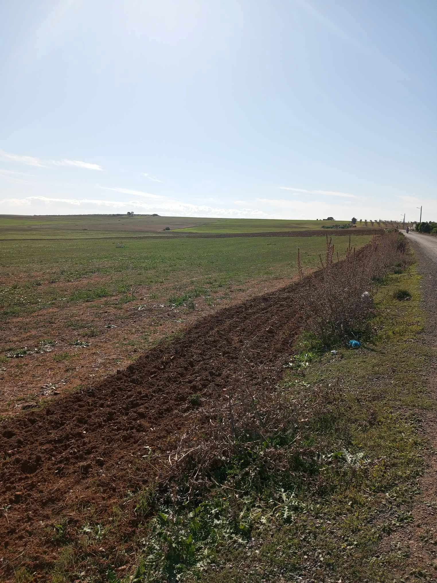  un terrain d'agricole nus a vendre situé a Jdaida Mahfoura. 