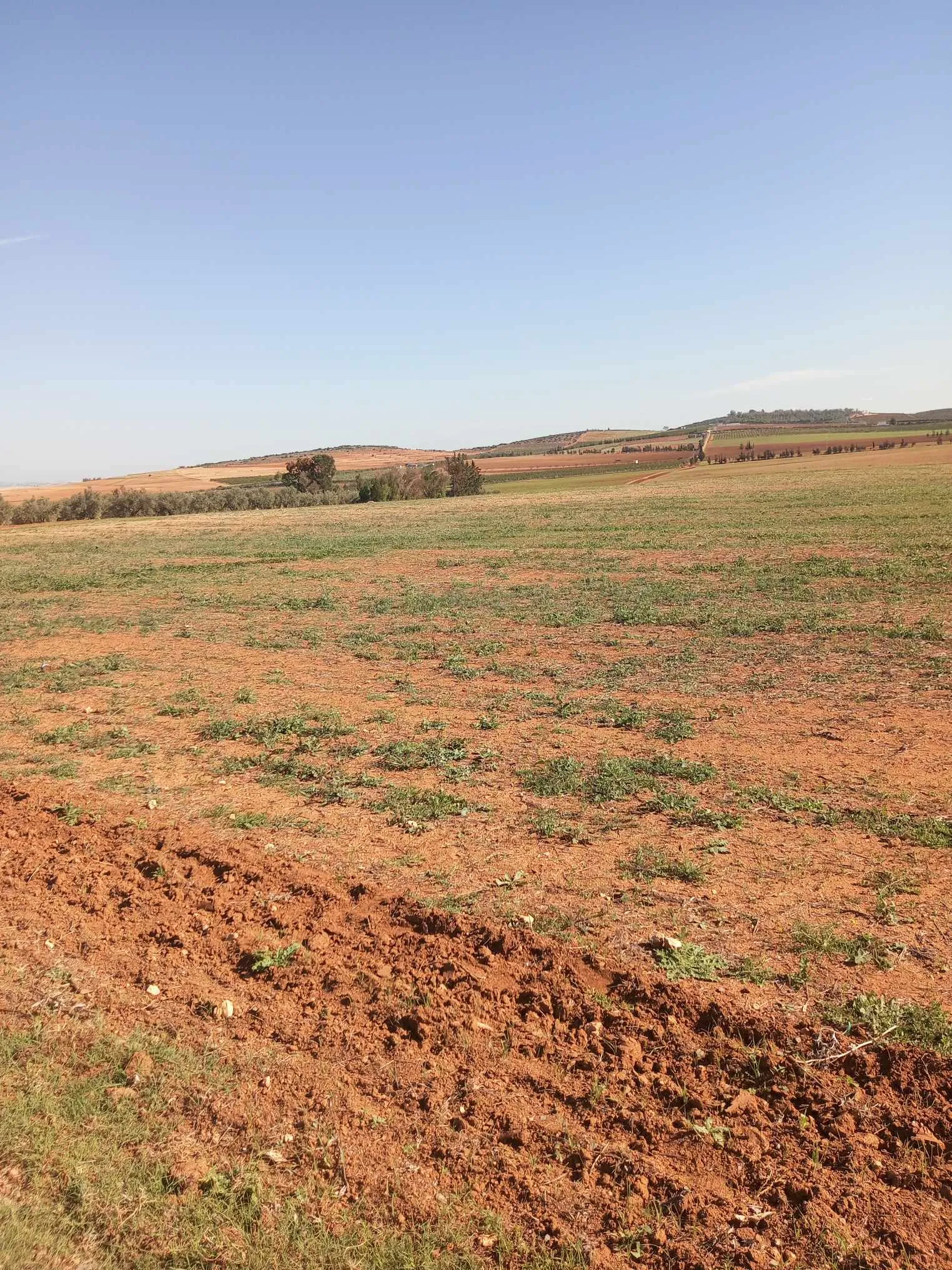  un terrain d'agricole nus a vendre situé a Jdaida Mahfoura. 