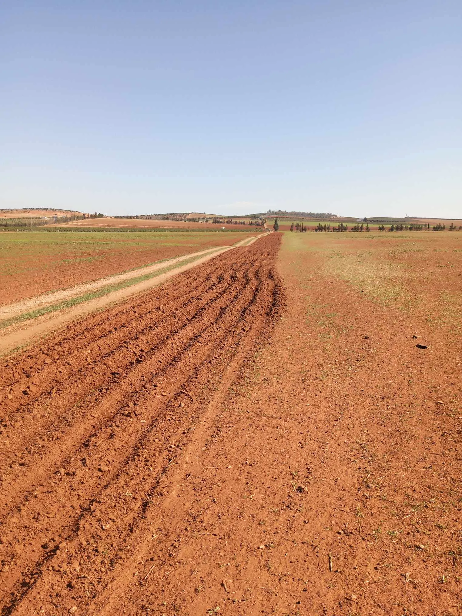  un terrain d'agricole nu a vendre situé a Jdaida Mahfoura 