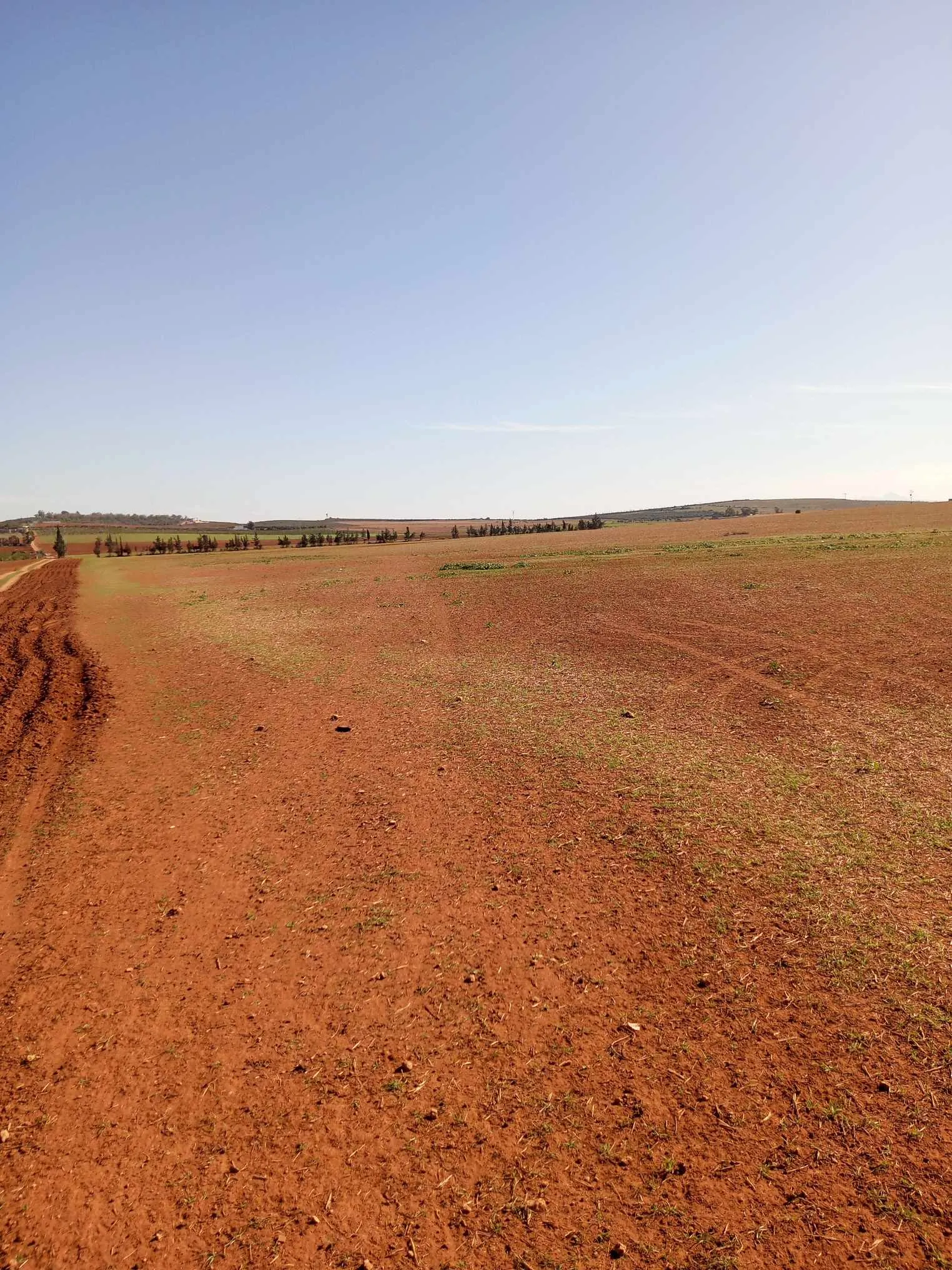  un terrain d'agricole nu a vendre situé a Jdaida Mahfoura 