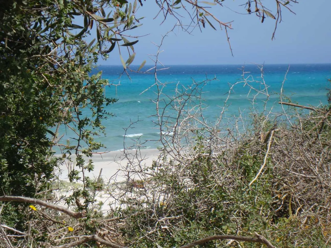 villa rdc à la Marsa proche du stade