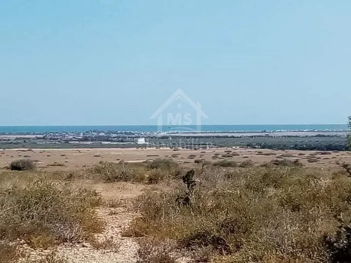  Terrain avec vue de mer de 2000 m² à Hammamet Sud à vendre 51355351 