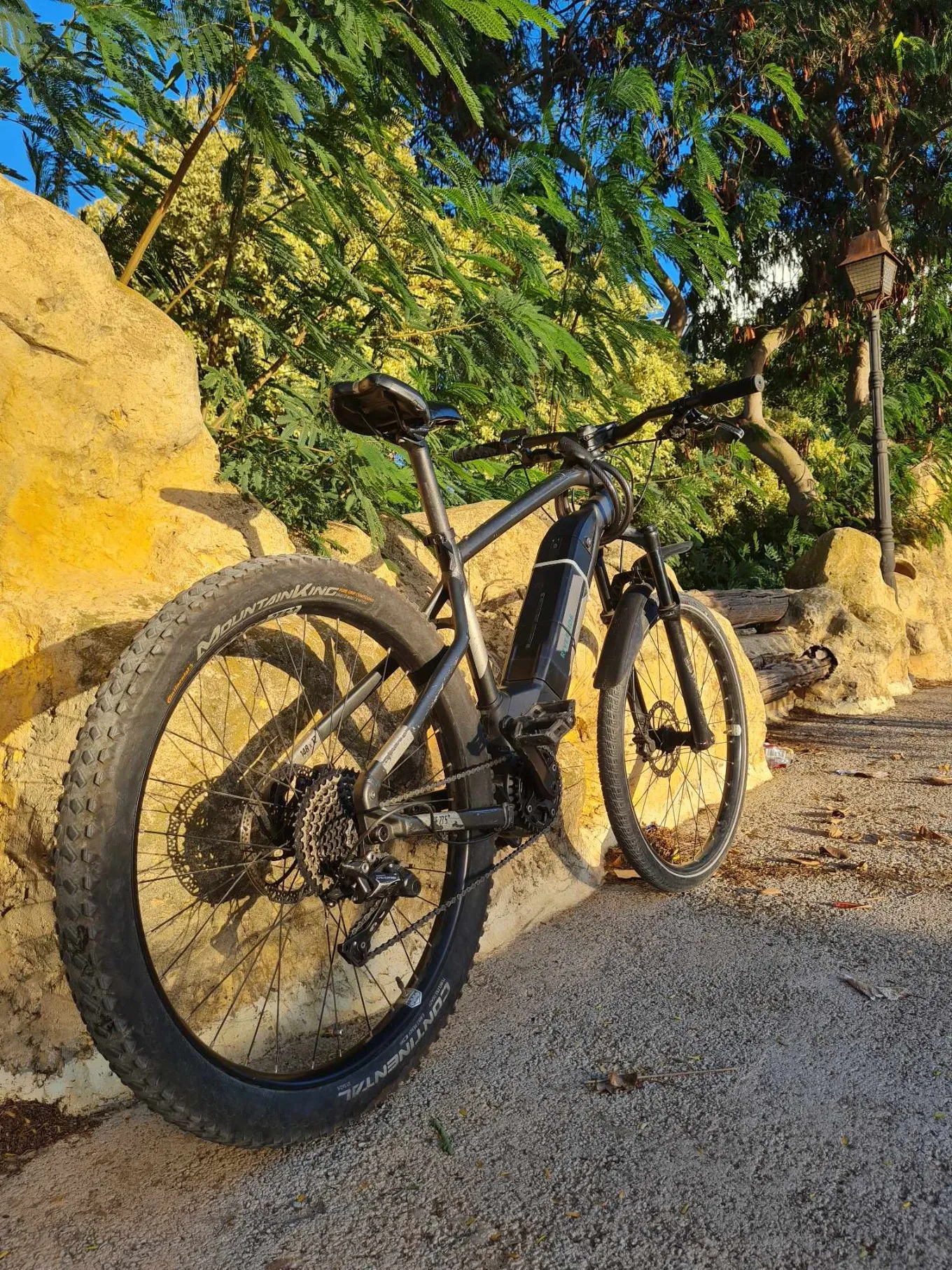  Vélo VTT électrique e-ST900 