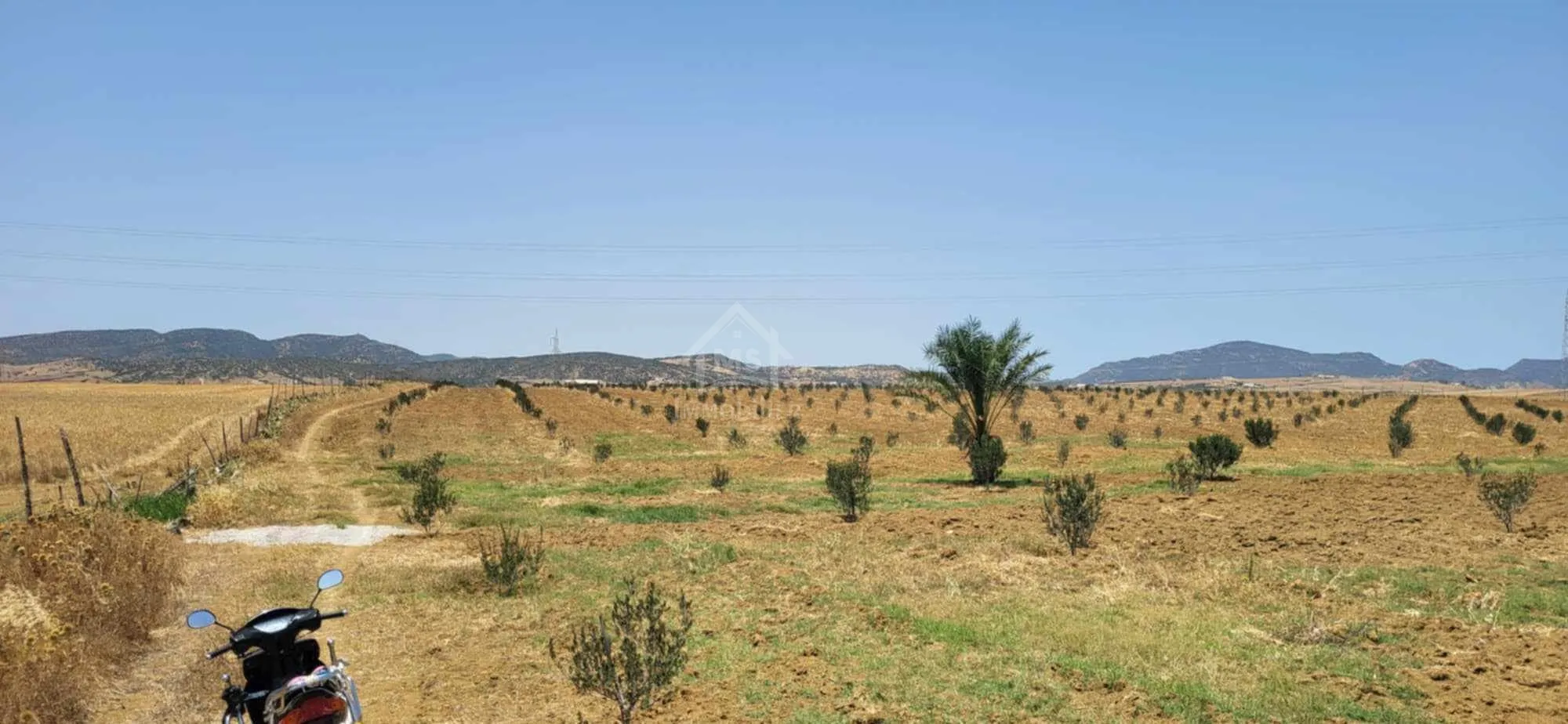  6.5 hectares avec une maison à vendre à Hammamet Sud51355351 