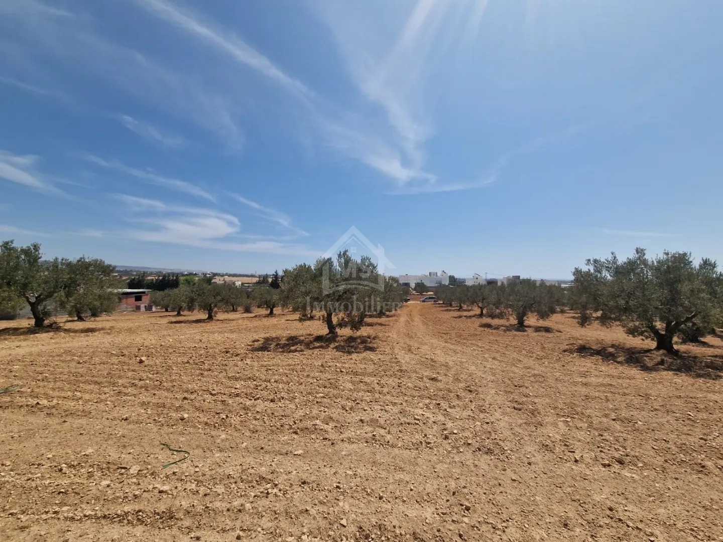  Terrain de 1000 m² à vendre à 200 MD à Hammamet Sud 51355351 