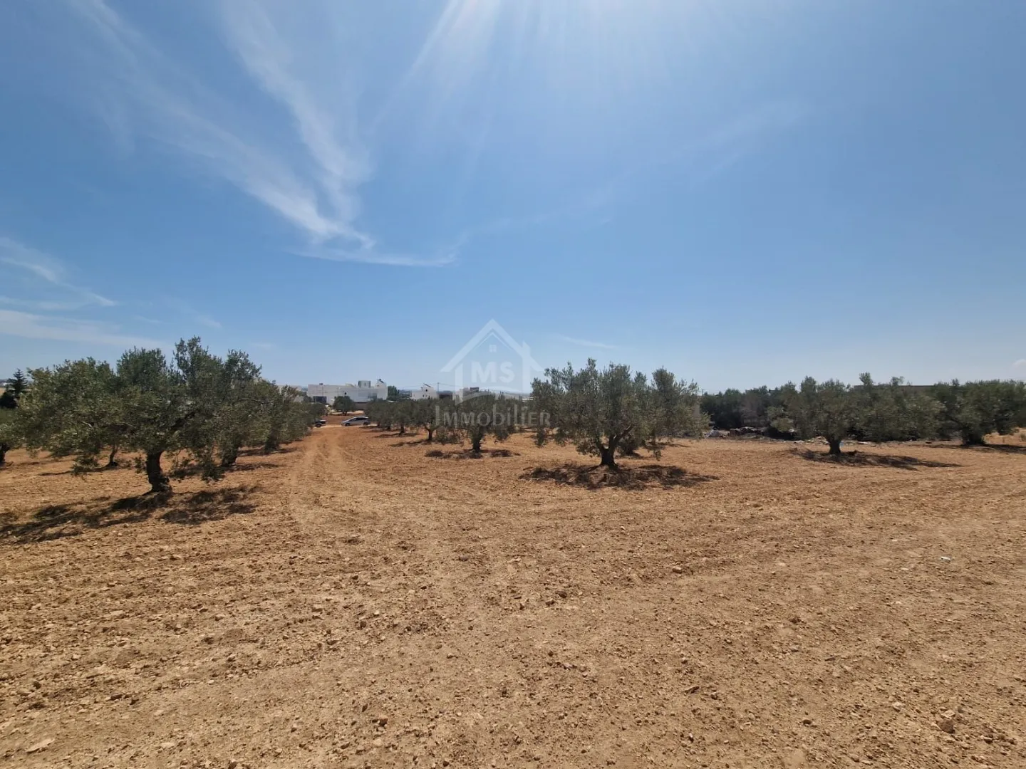  Terrain de 1000 m² à vendre à 200 MD à Hammamet Sud 51355351 