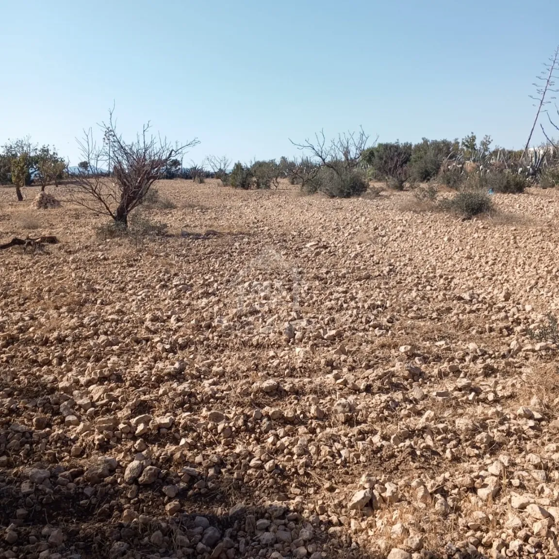  Terrain de 1282 m² à Hammamet Sud à vendre 51355351 