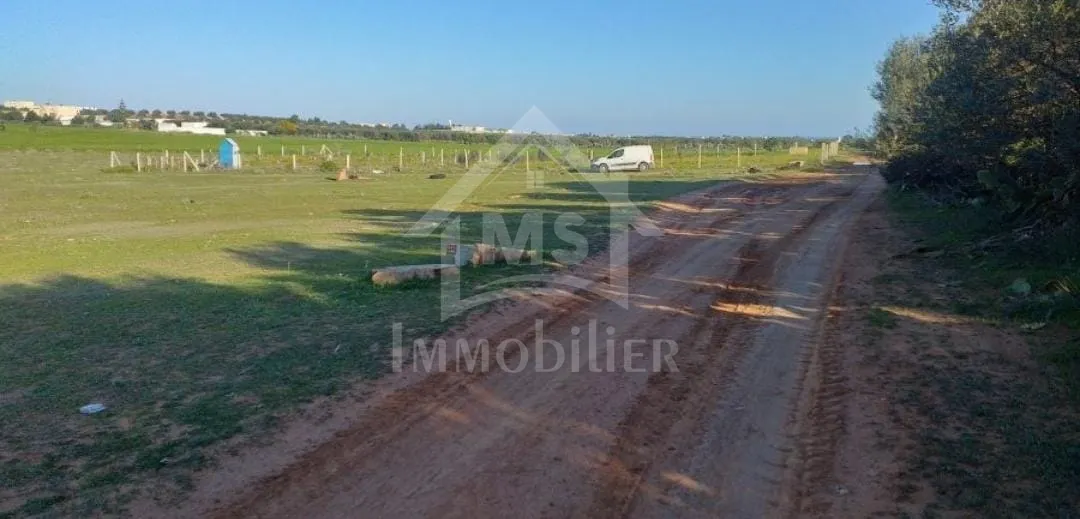  Terrain de 1000 m² à vendre à 85 MD à Hammamet Sud 51355351 