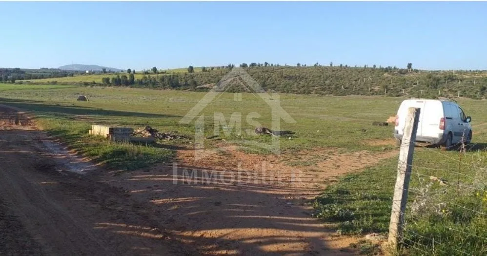  Terrain de 1000 m² à vendre à 85 MD à Hammamet Sud 51355351 