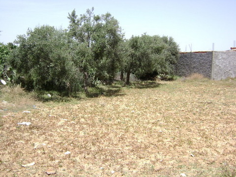  Terrain Le Théâtre 