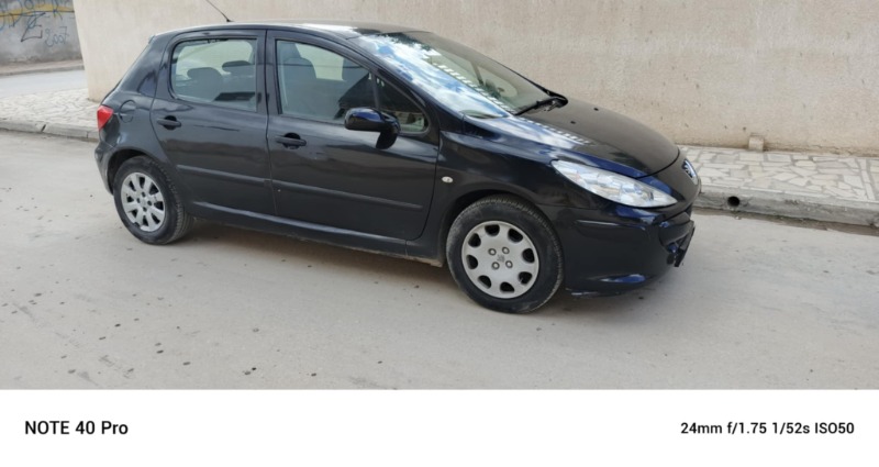 Peugeot 307 Essence 2006