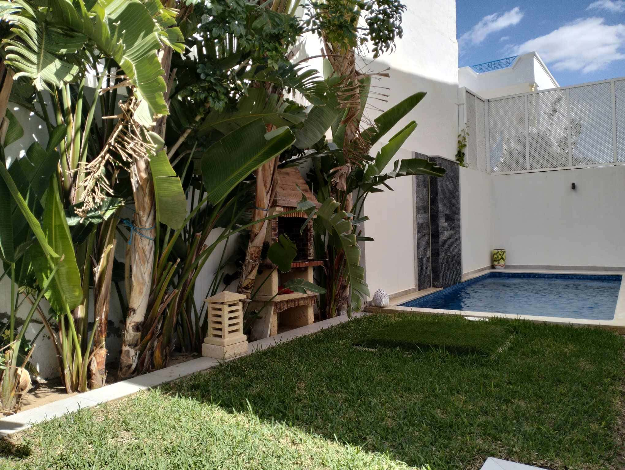  1 hectare planté d'oliviers à Hammamet sud à vendre 51355351 