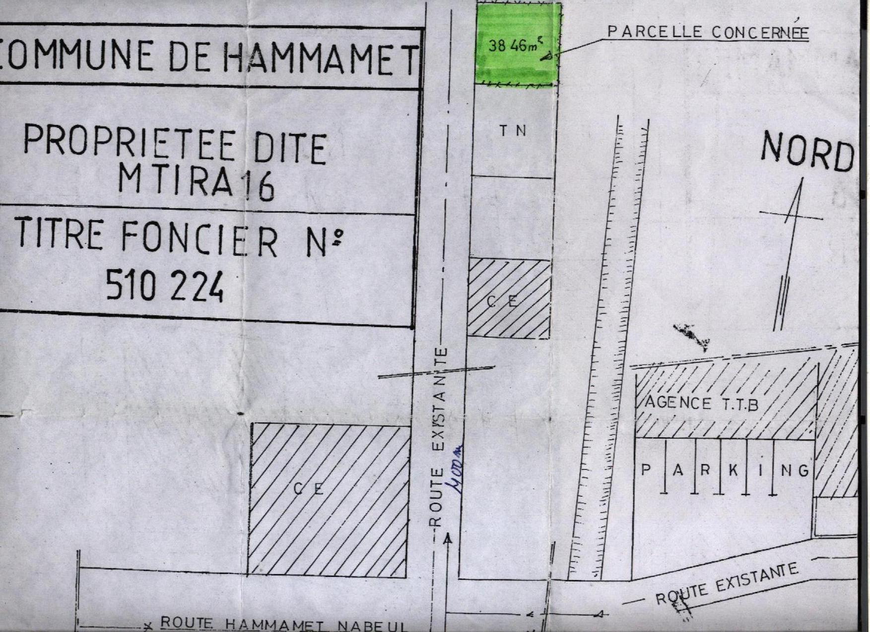  1 hectare planté d'oliviers à Hammamet sud à vendre 51355351 