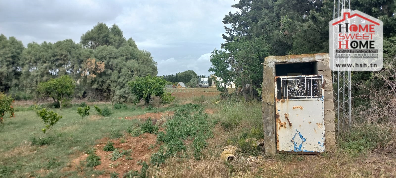     Ferme margherita à s