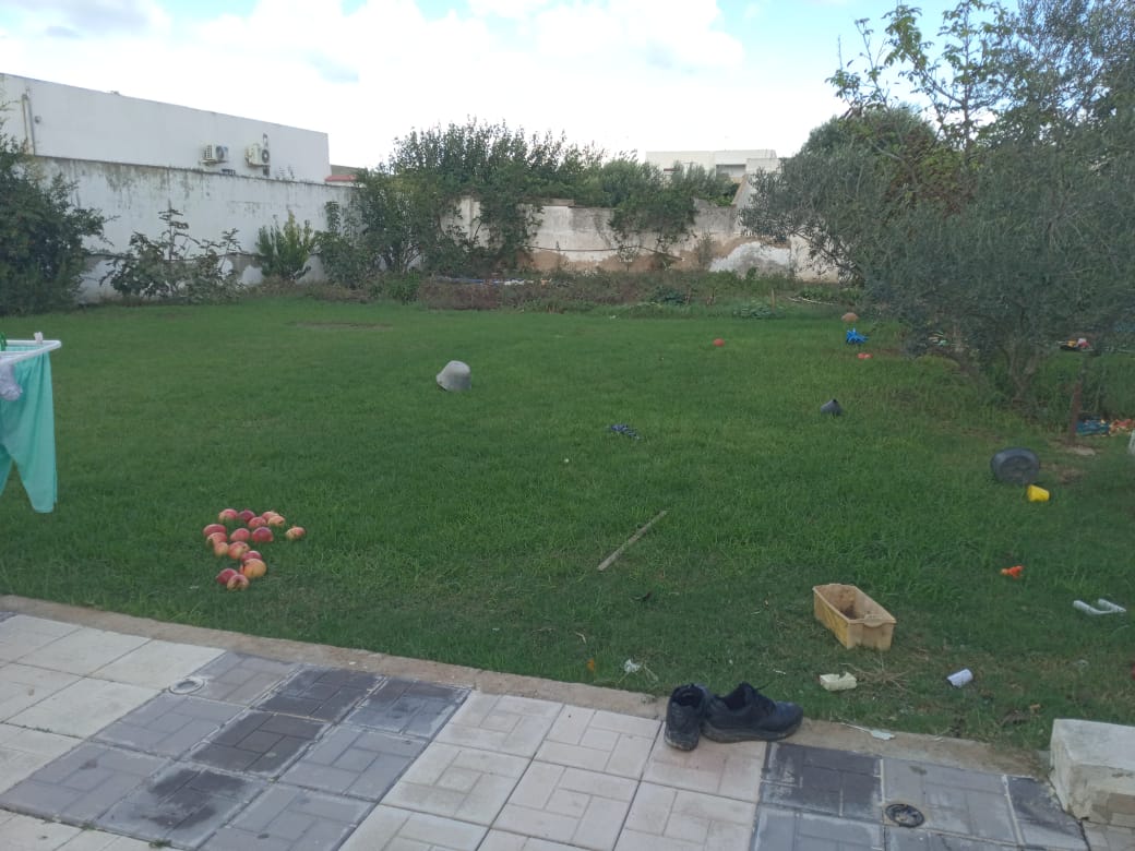  1 hectare planté d'oliviers à Hammamet sud à vendre 51355351 