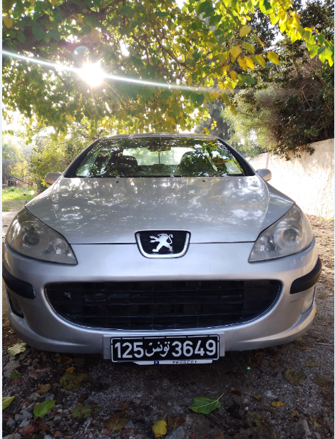 Peugeot 407 Diesel 2004