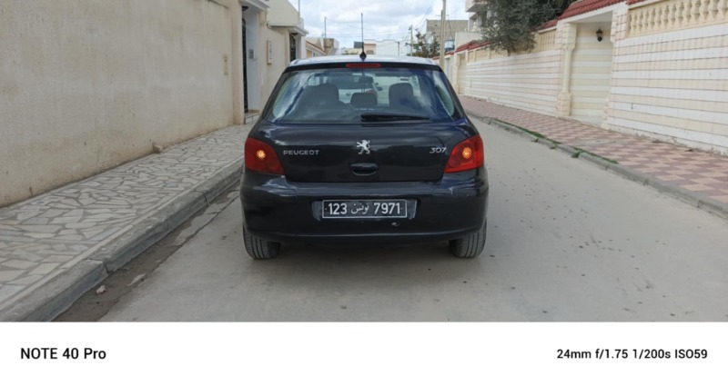 Peugeot 307 Essence 2006